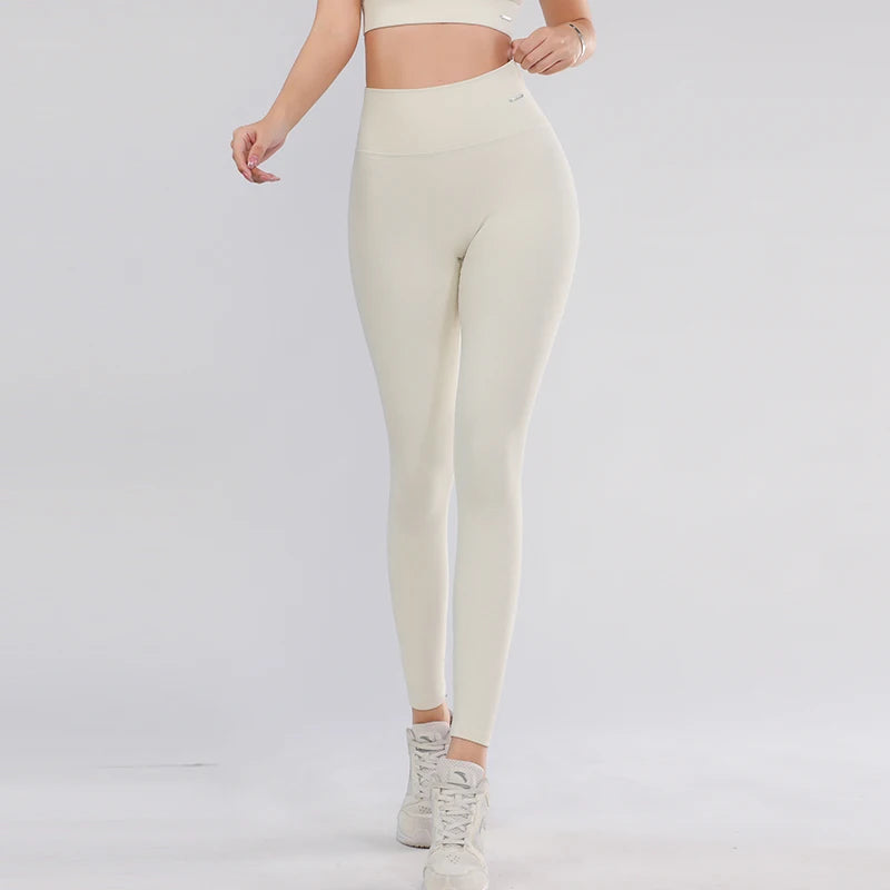 50013577969824|50013578002592|50013578035360|50013578100896