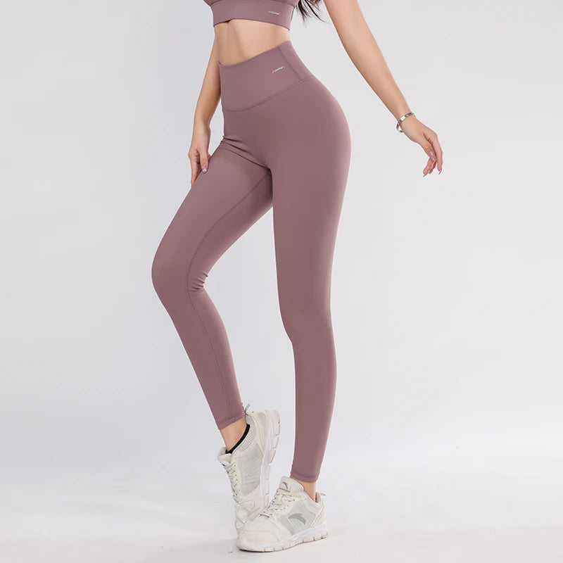 50013578231968|50013578264736|50013579083936|50013579182240