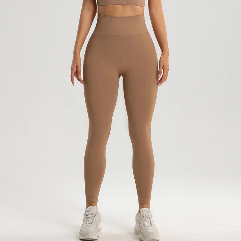 50013388734624|50013389062304|50013389095072